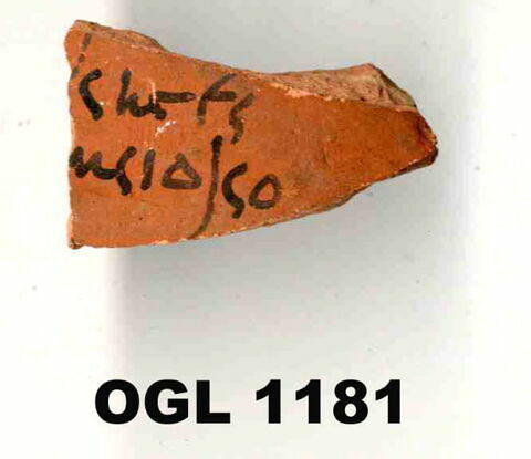 ostracon, image 3/5