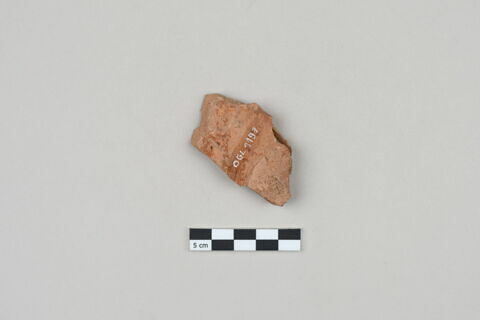 ostracon, image 2/3