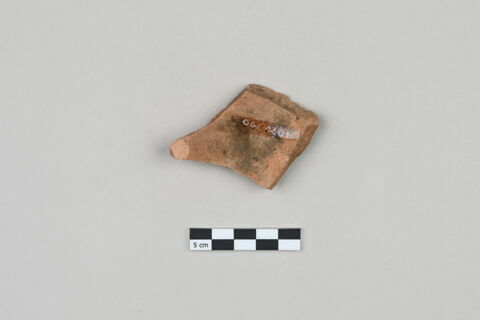 ostracon, image 2/3