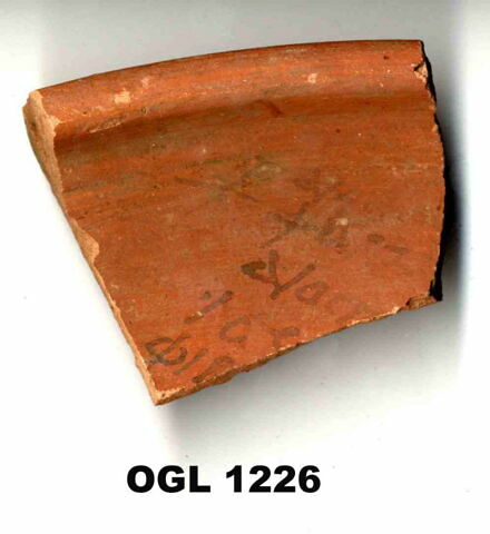 ostracon, image 1/1