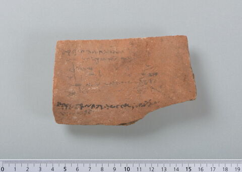 ostracon, image 1/4
