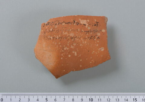 ostracon, image 1/4