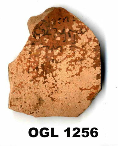 ostracon, image 1/1