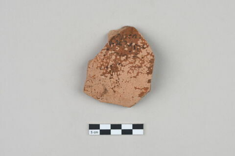 ostracon, image 1/3