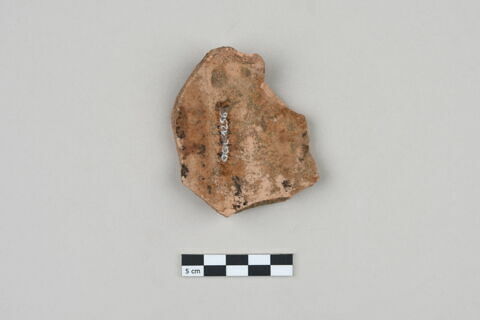 ostracon, image 2/3
