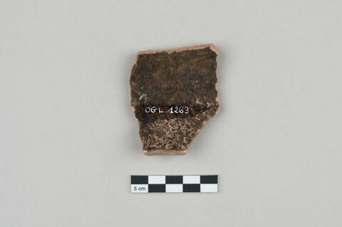 ostracon, image 2/3
