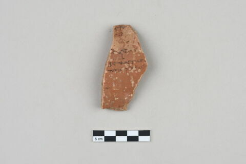 ostracon, image 1/3