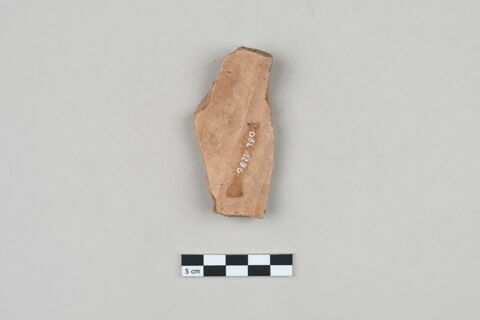 ostracon, image 2/3