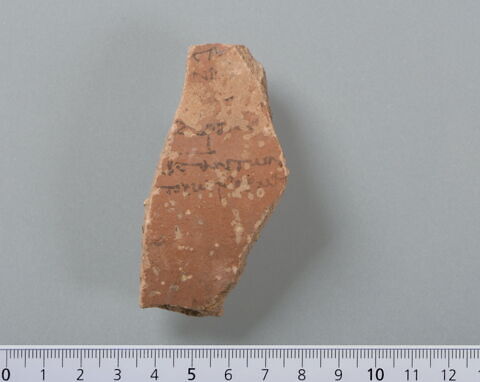 ostracon, image 1/4