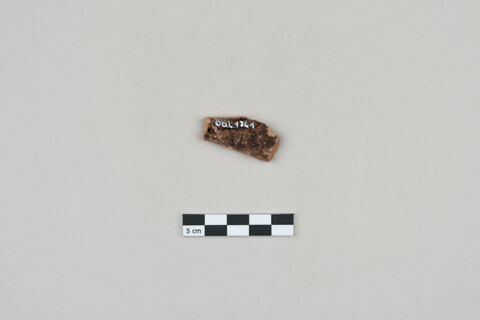 ostracon, image 2/3