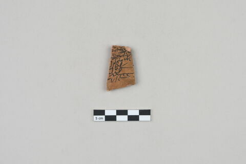 ostracon, image 1/3