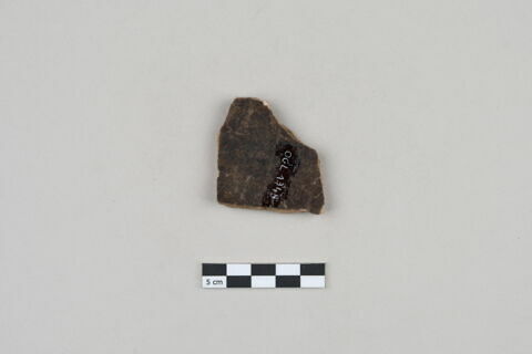 ostracon, image 2/3