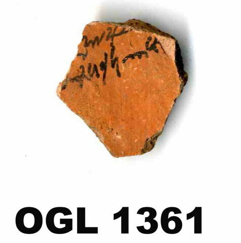 ostracon, image 1/1