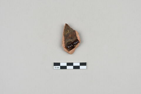 ostracon, image 2/5