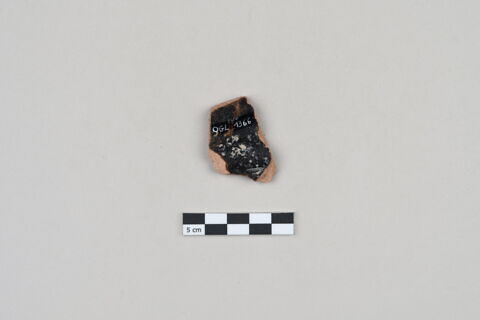ostracon, image 4/5