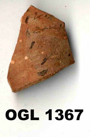 ostracon, image 1/1