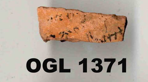 ostracon, image 5/5