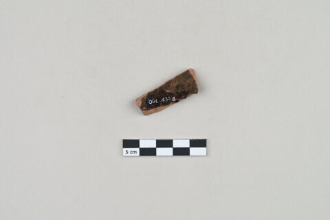 ostracon, image 4/5
