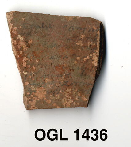 ostracon, image 4/4
