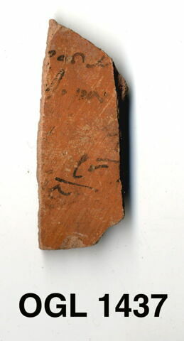 ostracon, image 1/1