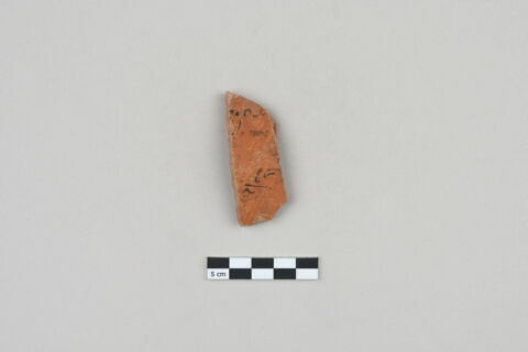 ostracon, image 1/3