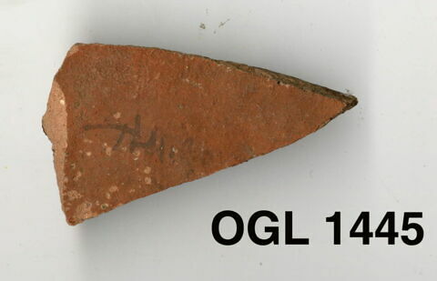 ostracon, image 1/1