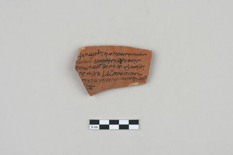ostracon, image 1/3