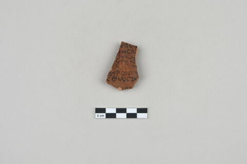 ostracon, image 1/3
