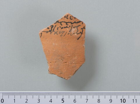 ostracon, image 1/4