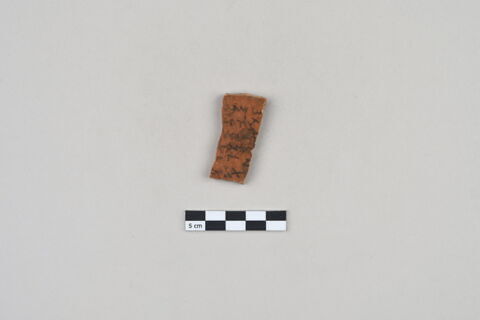 ostracon, image 2/4