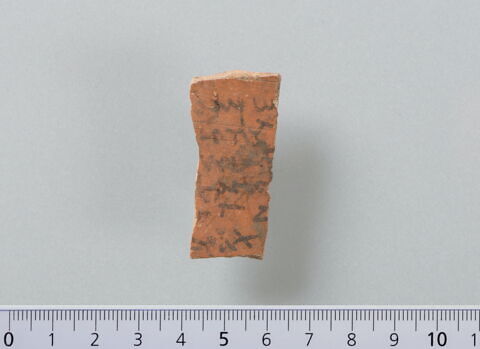 ostracon, image 1/4