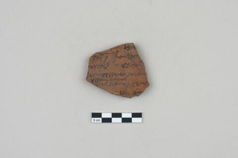 ostracon, image 1/3