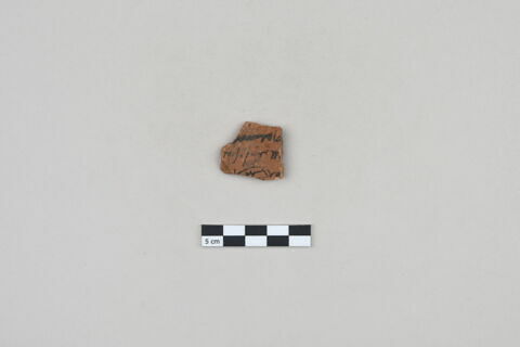 ostracon, image 1/3