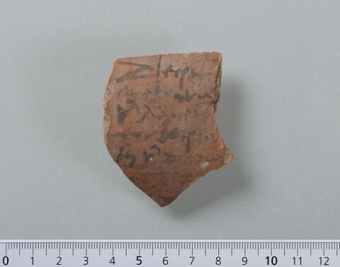 ostracon, image 1/4