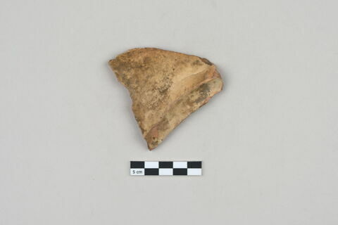 ostracon, image 2/3