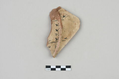 ostracon, image 1/3