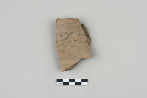 ostracon, image 1/3