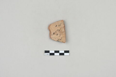 ostracon, image 1/3