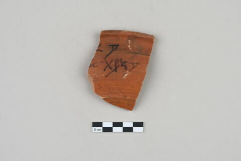 ostracon, image 1/3