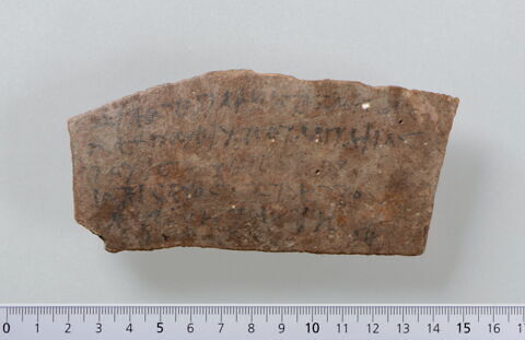 ostracon, image 1/4