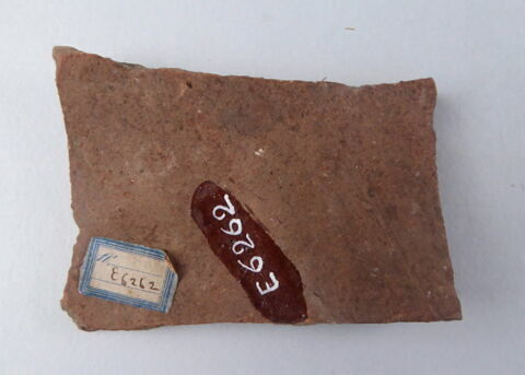 ostracon, image 3/3