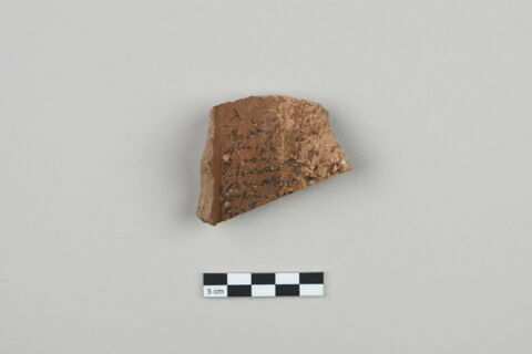 ostracon, image 1/3