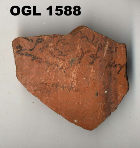 ostracon, image 1/1