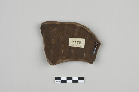 ostracon, image 2/3