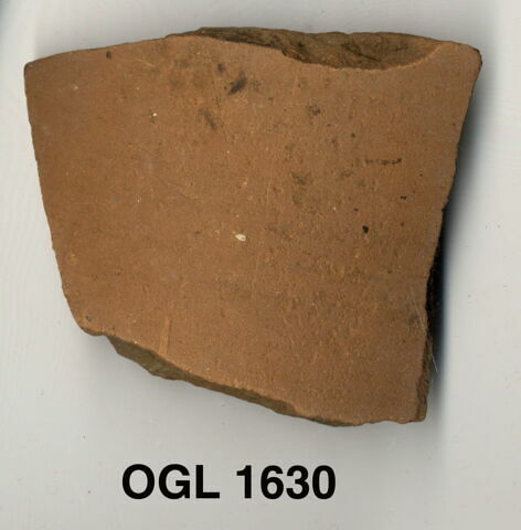 ostracon, image 1/1