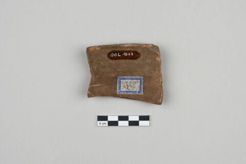 ostracon, image 2/4