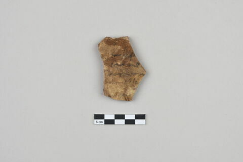 ostracon, image 1/2