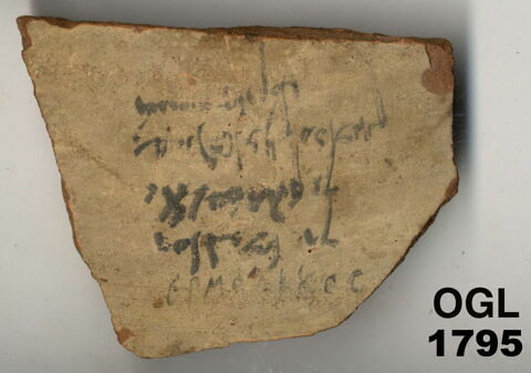 ostracon, image 1/1