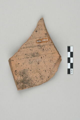 ostracon, image 2/3