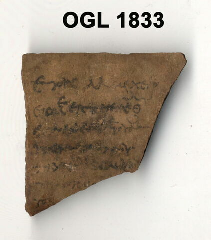 ostracon, image 1/1